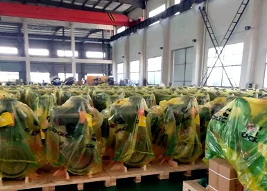揚州市康成發(fā)電設備有限公司